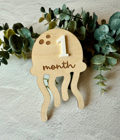 Jellyfish Monthly Milestone set